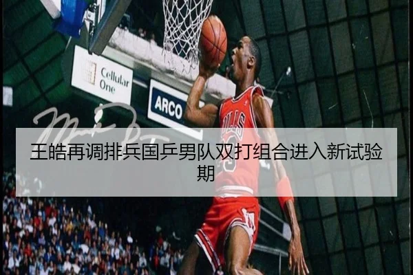 王皓再调排兵国乒男队双打组合进入新试验期